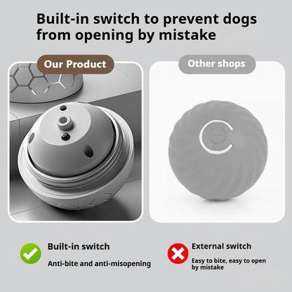 Automatic Bouncing Dog Toy Ball - LED Light Up, USB Rechargeable, Touch-Activated for Dogs & Cats