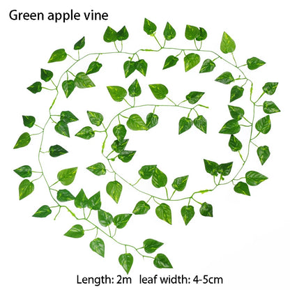 Green apple vine with leaf dimensions on a white background