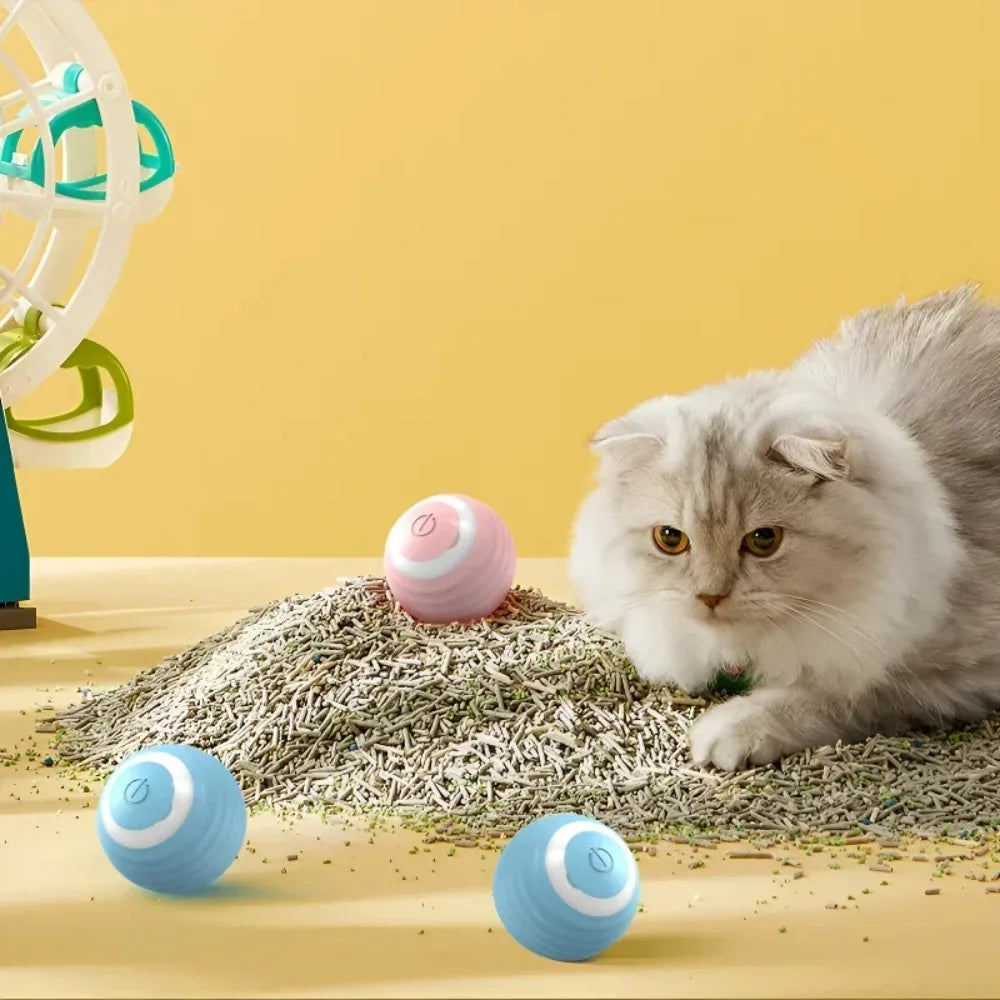 Cat playing with colorful balls and a toy on a yellow background