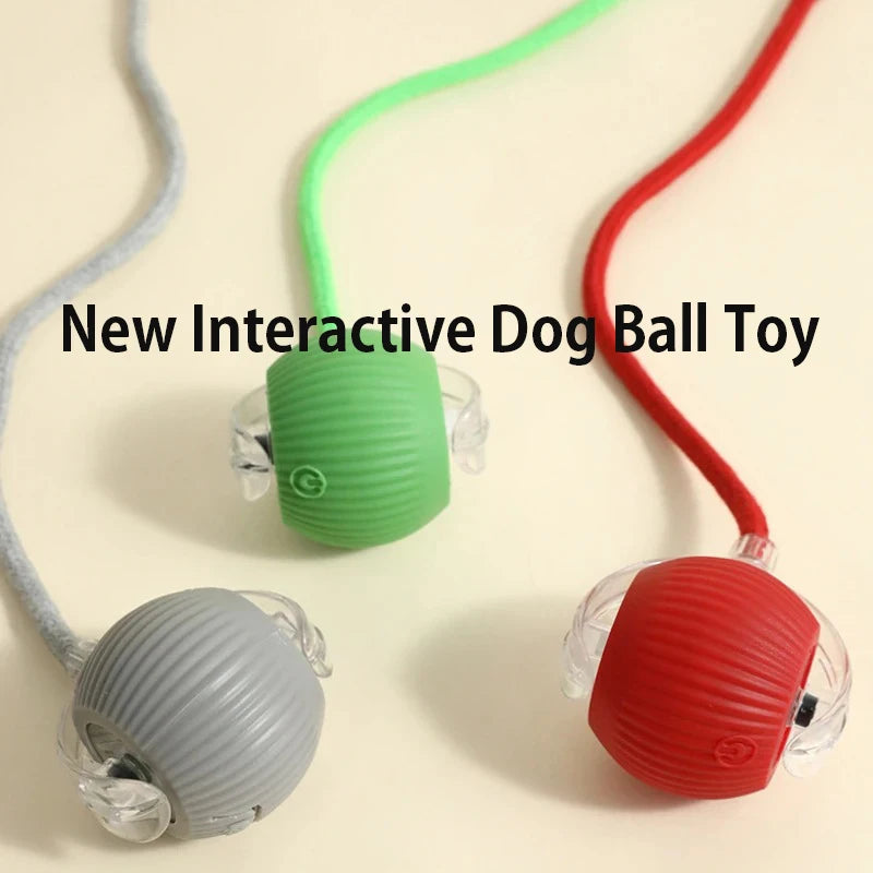Smart & Interactive Rolling Dog/Cat Ball USB Rechargeable 3 Modes Non-Stop Play