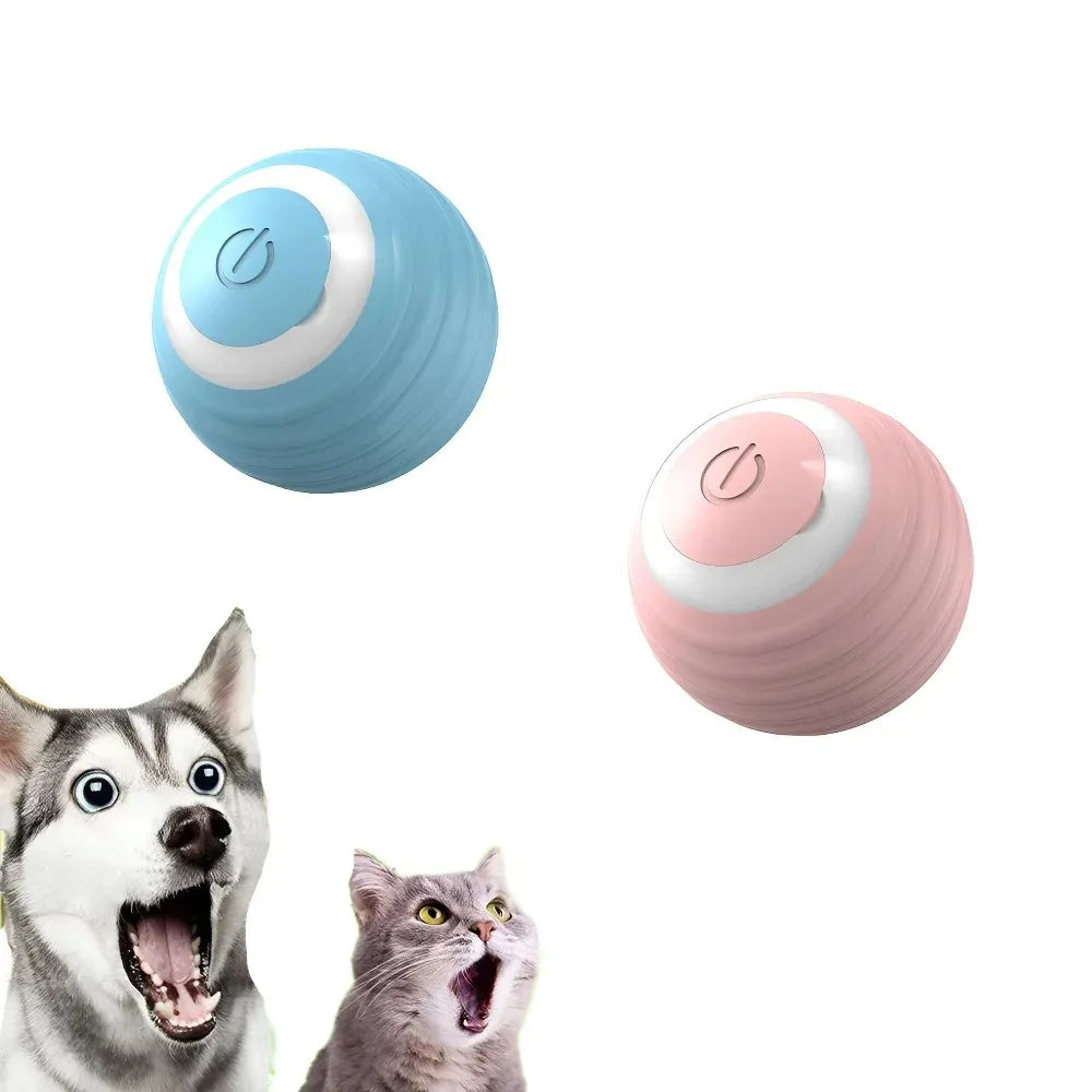 Two dog toys, one blue and one pink, with a dog and cat on a white background.