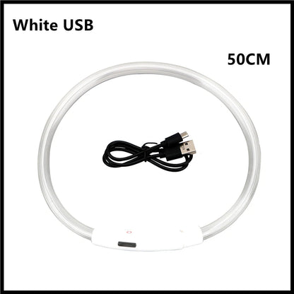 USB Rechargeable LED Dog Collar — Night Safety Glow