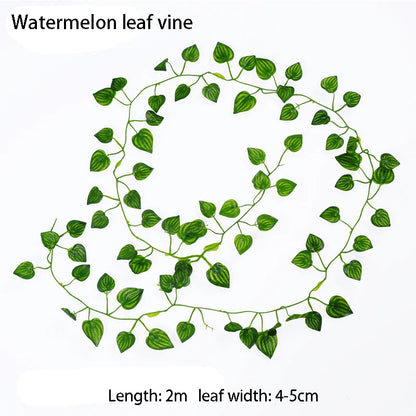 Illustration of a watermelon leaf vine with dimensions on a white background