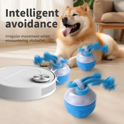 Dog playing with a blue and white toy near a robot vacuum cleaner on a wooden floor.