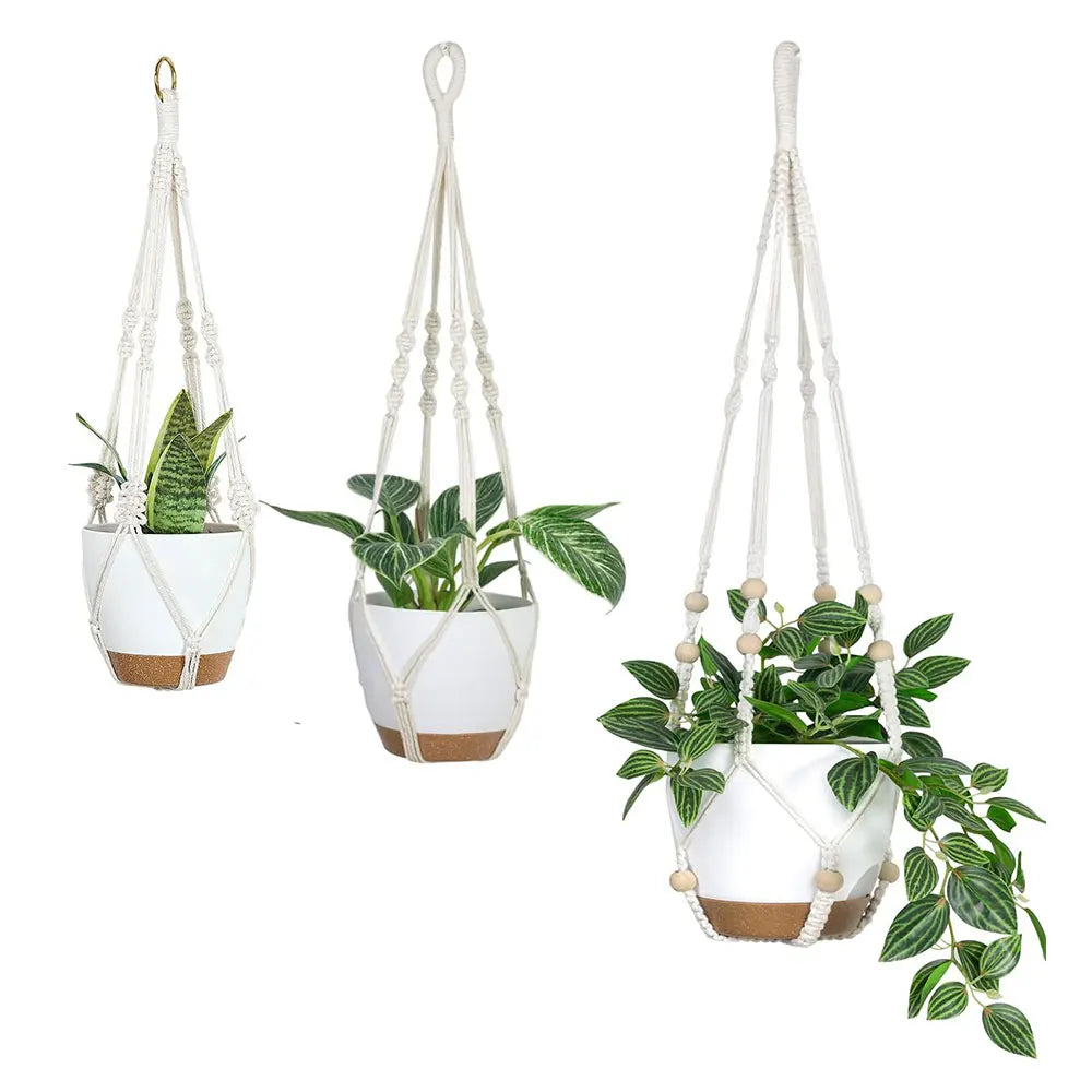 Three hanging planters with plants on a white background