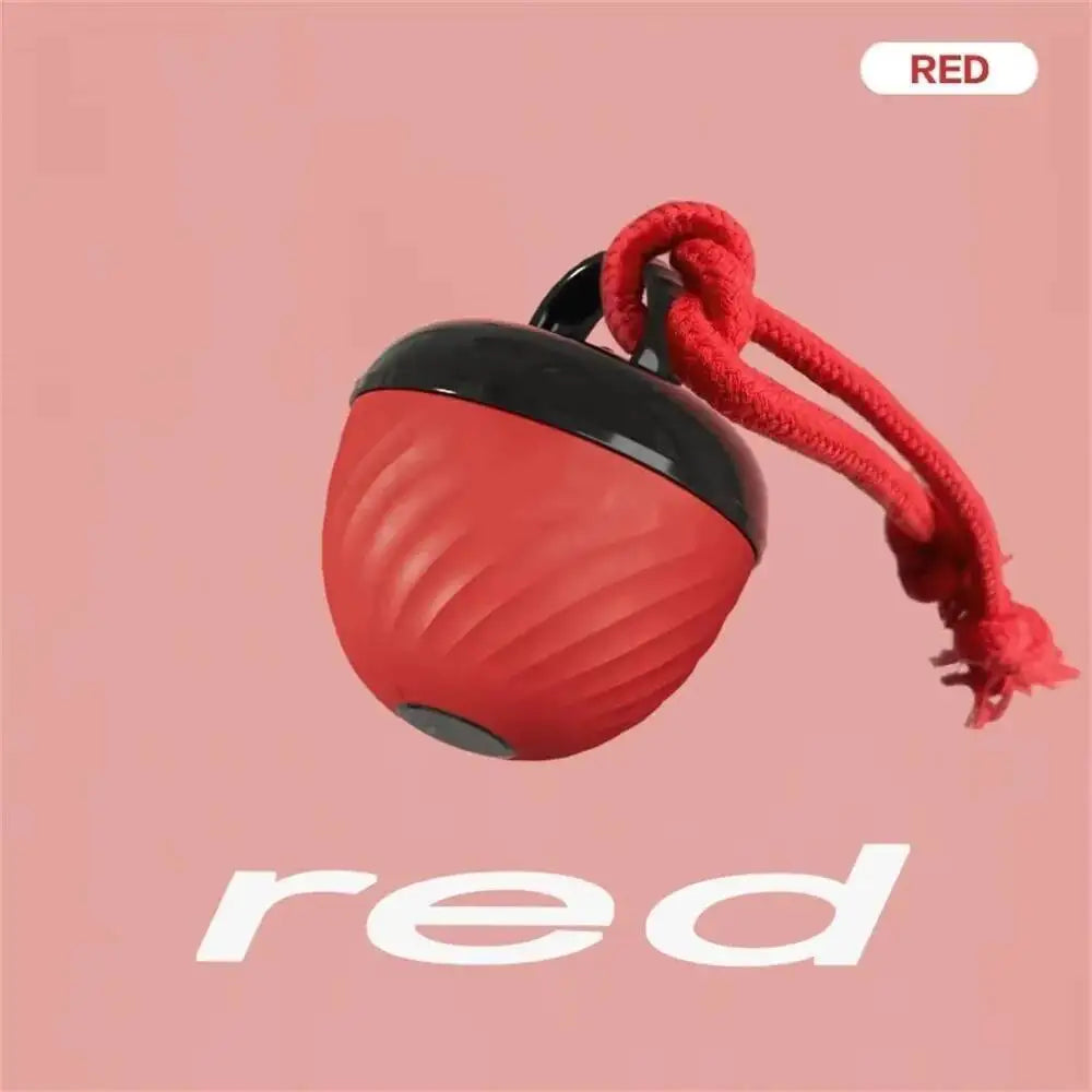 Anti-Boredom Moving Dog Ball | 3-Mode Smart Exercise Toy