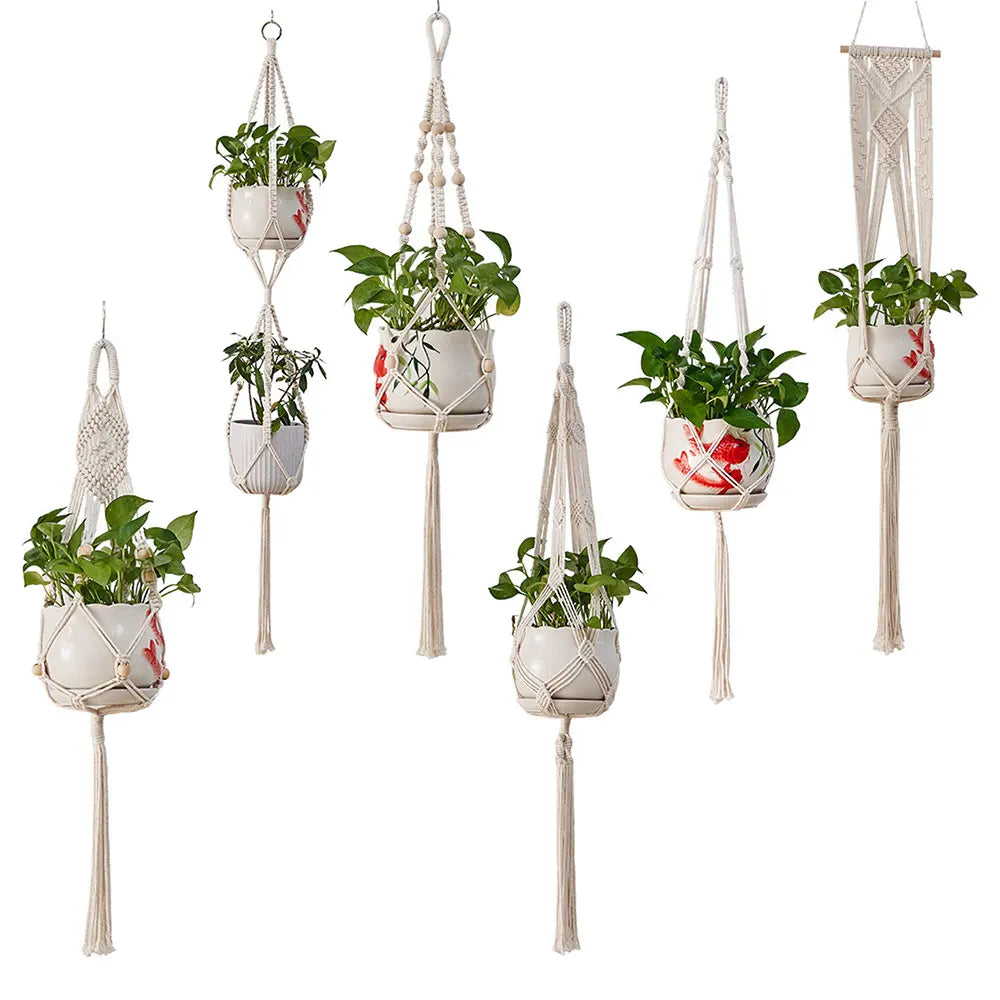 Set of macrame plant hangers with plants on a white background
