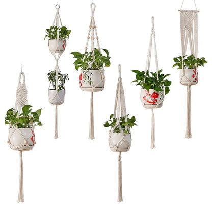 Set of macrame plant hangers with plants on a white background