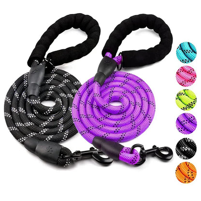 Black and purple dog leashes with colorful options displayed on a white background