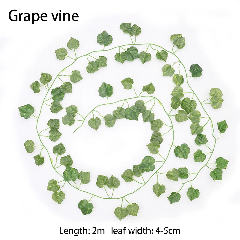 Grape vine heart shape with green leaves on a white background
