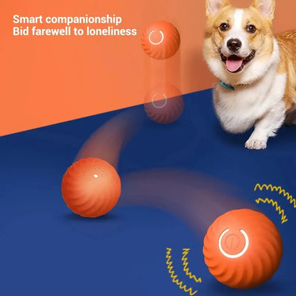 Smart Automatic Dog Toy Ball with 3-Hour Battery Life