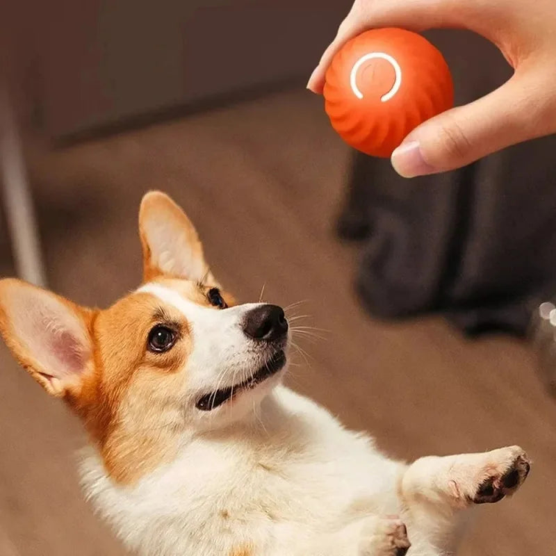 Smart Automatic Dog Toy Ball with 3-Hour Battery Life