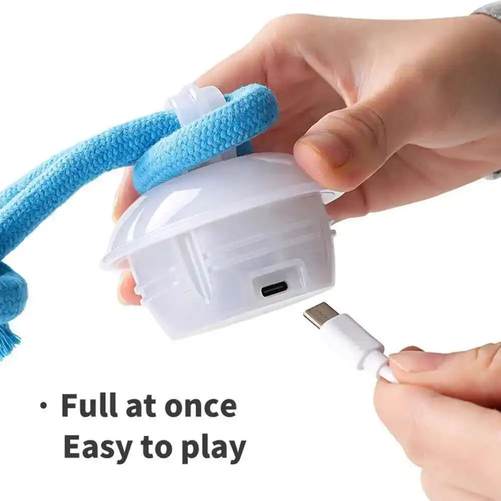 Smart Motion-Activated Dog Toy Ball with Rope - 3 Play Modes, USB Rechargeable