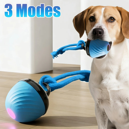 Anti-Boredom Moving Dog Ball | 3-Mode Smart Exercise Toy