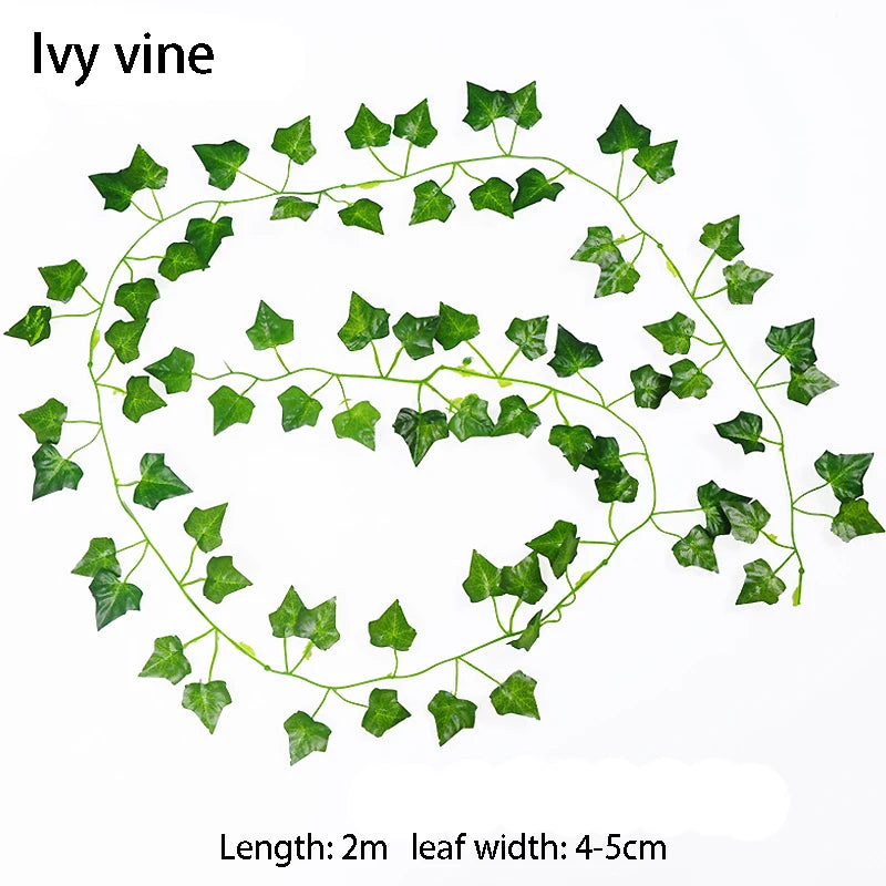 Illustration of an ivy vine with a spiral pattern on a white background