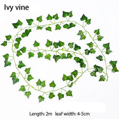 Illustration of an ivy vine with a spiral pattern on a white background