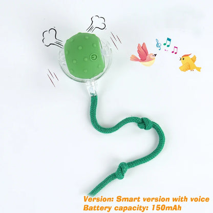 Smart Interactive Dog/Cat Ball - 6 Hour Playtime