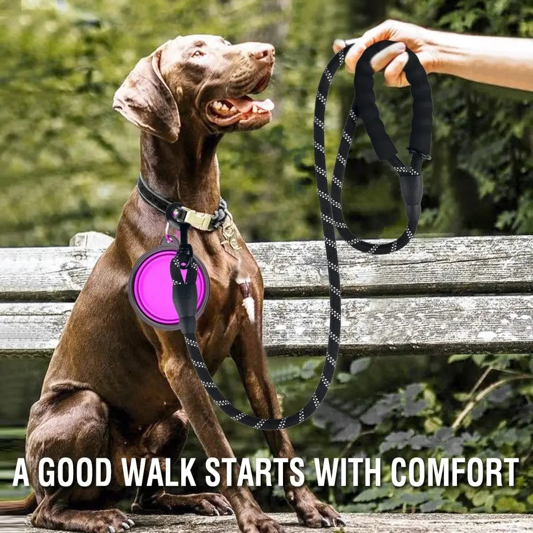 Heavy Duty Nylon Dog Leash — Anti-Tangle & Comfortable Grip