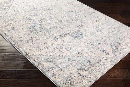 Orrick Modern Farmhouse Medallion Rug – Soft Gray & Cream Persian Design