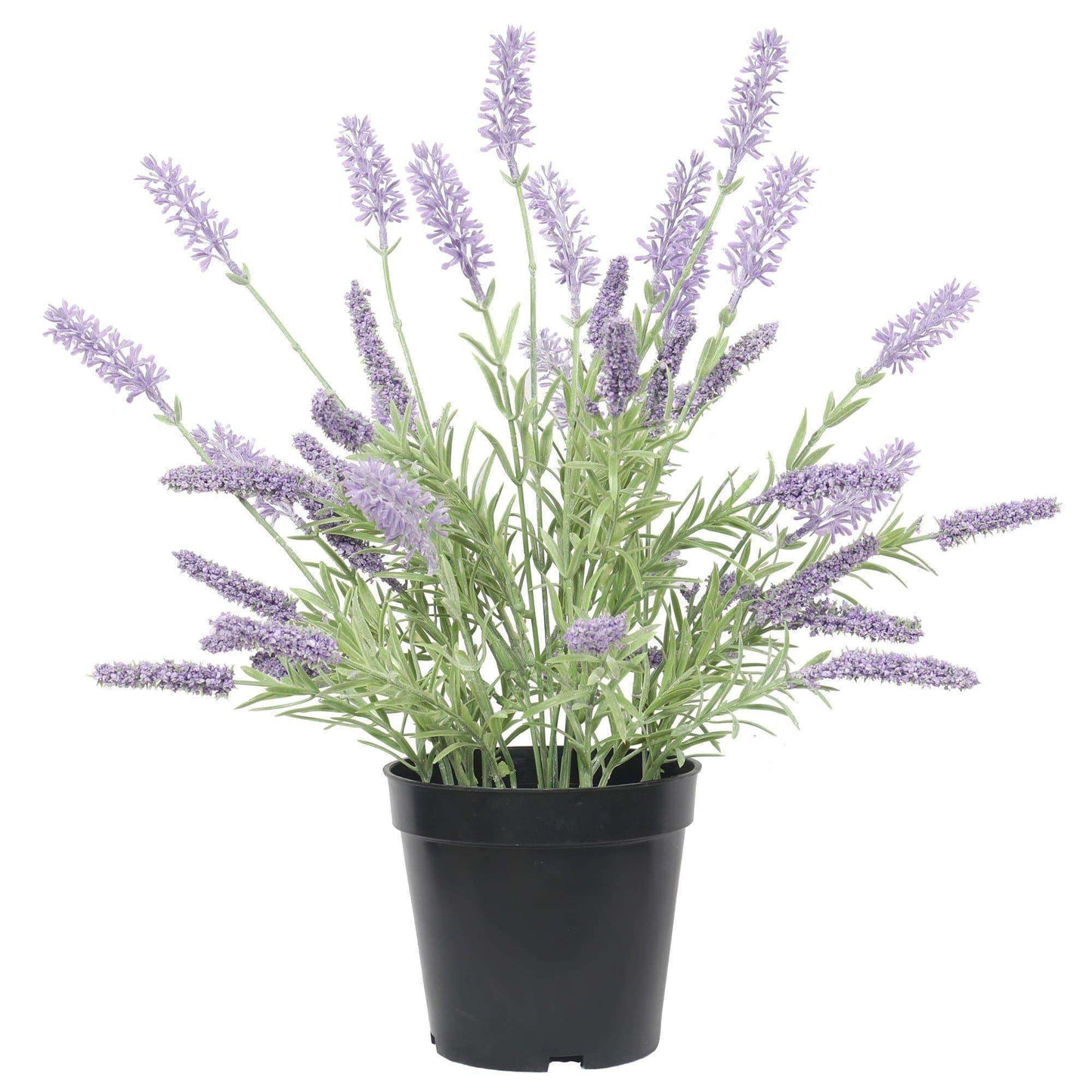 Lifelike 43 cm (6.9") Artificial Lavender Plant in Pot (Pet-Safe & Hypoallergenic)