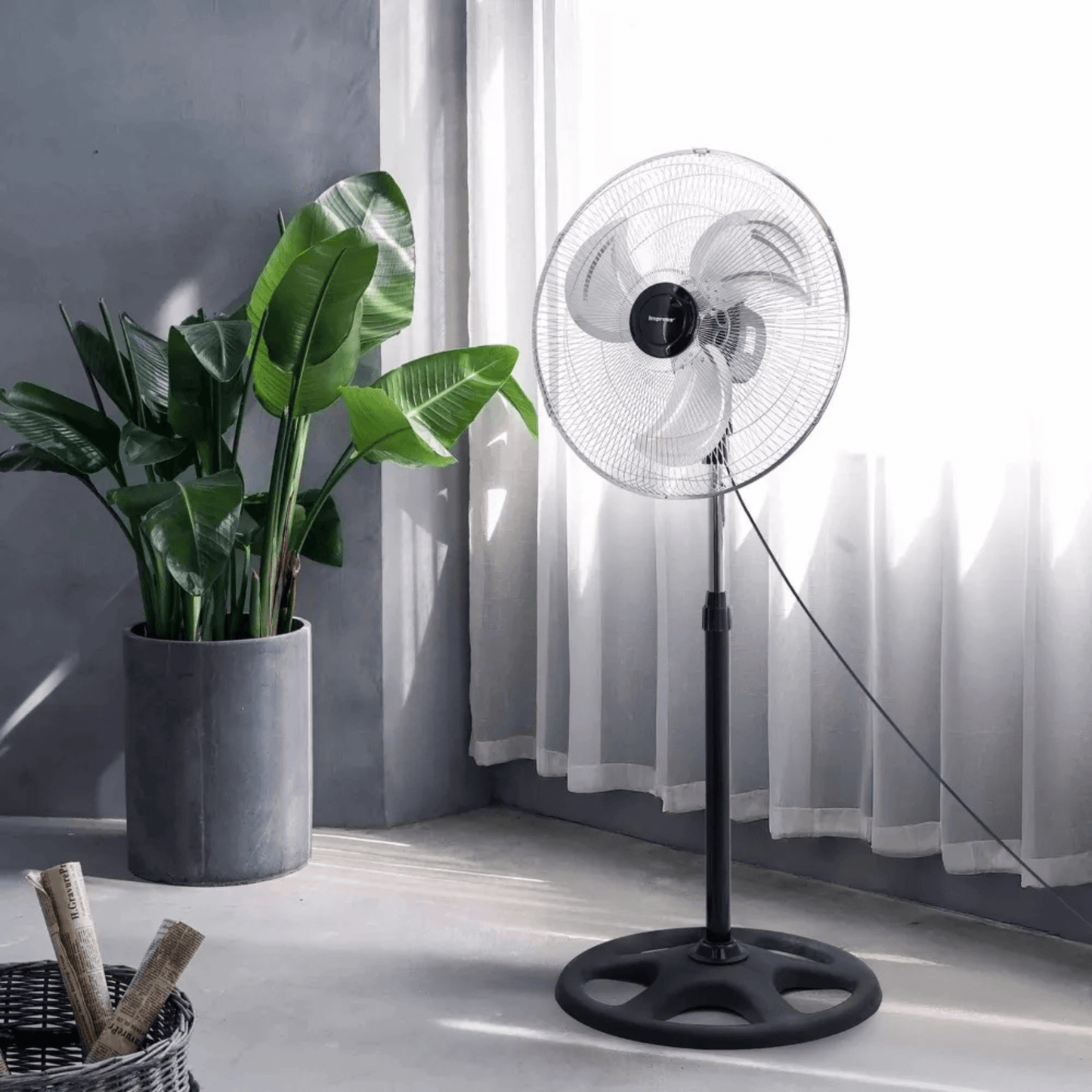Black stand fan in a room with a plant and curtains