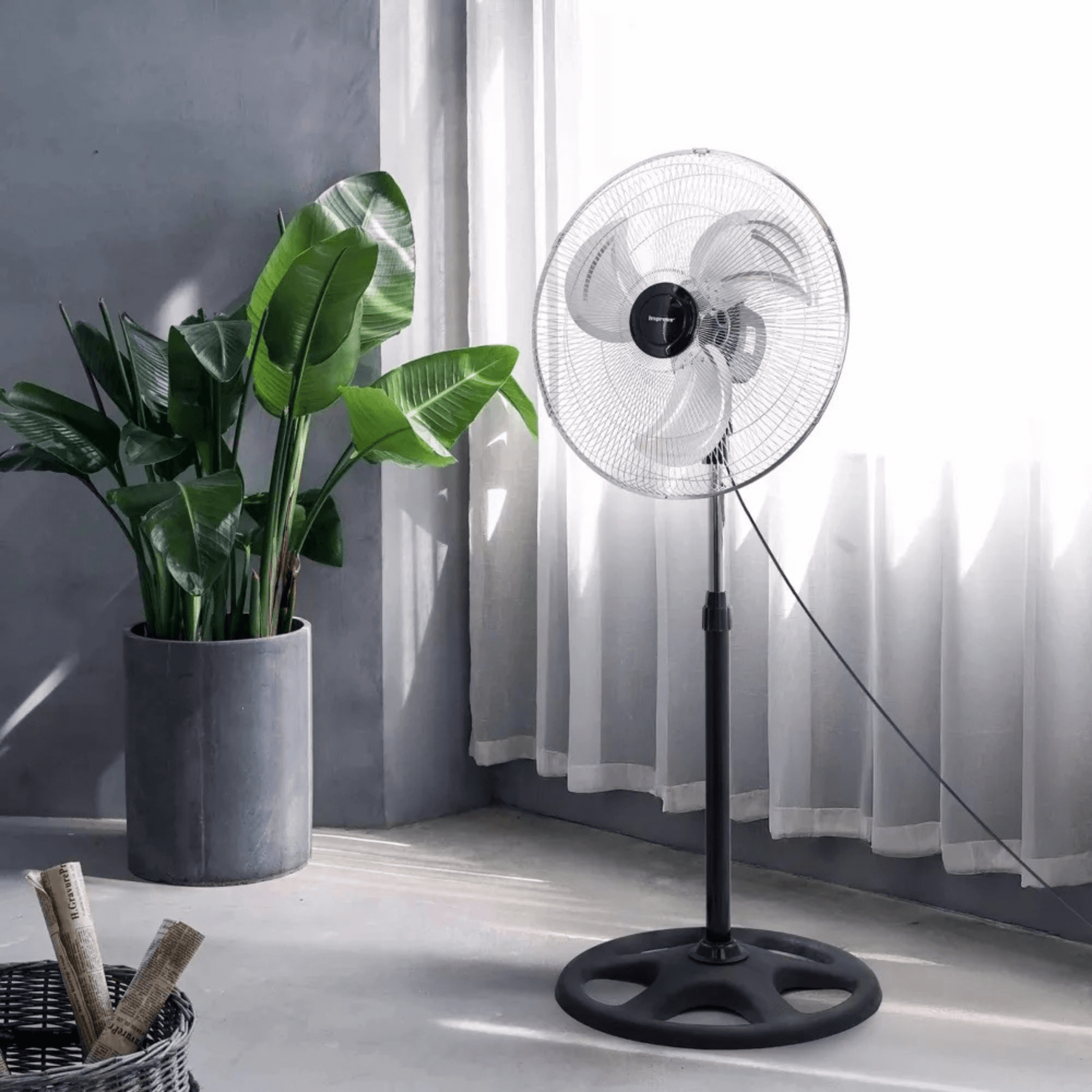 Black stand fan in a room with a plant and curtains