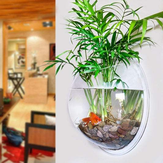 Wall terrarium with air plants in acrylic tank