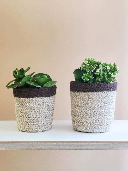 Bohemian Woven Plant Basket for Indoor Plants - Natural & White