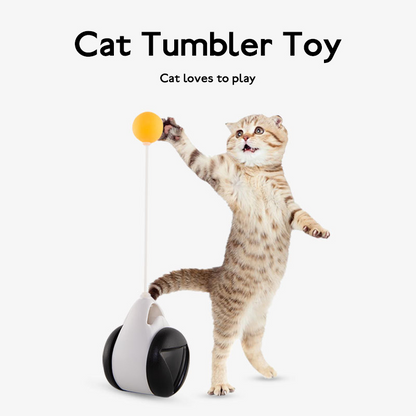 Balance Play Toy for Cats with Motion Ball & IQ Training
