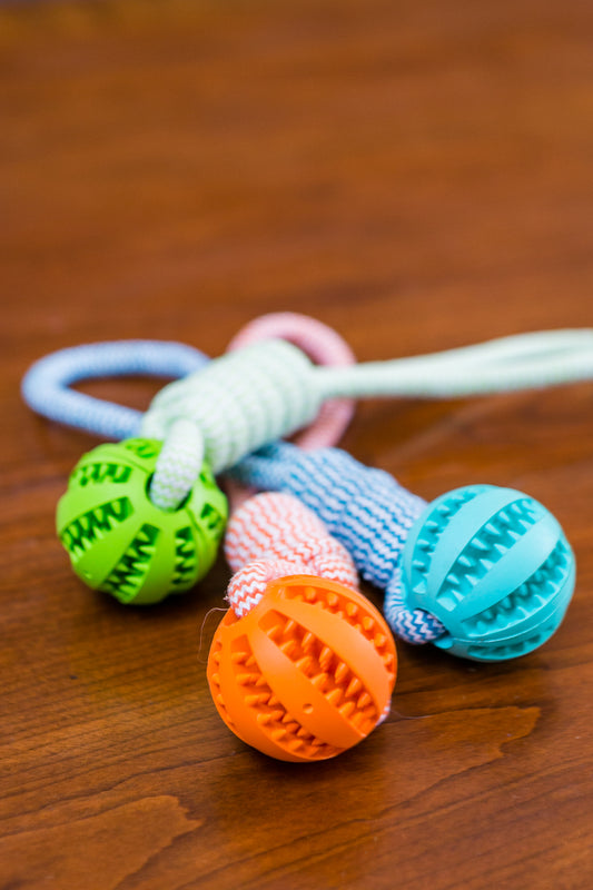 Dog Rope Chew Toy with Treat Ball – Tough, Dental-Friendly & Interactive