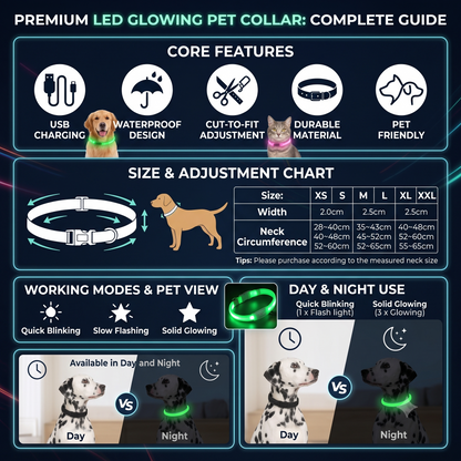 USB Rechargeable LED Dog Collar — Night Safety Glow