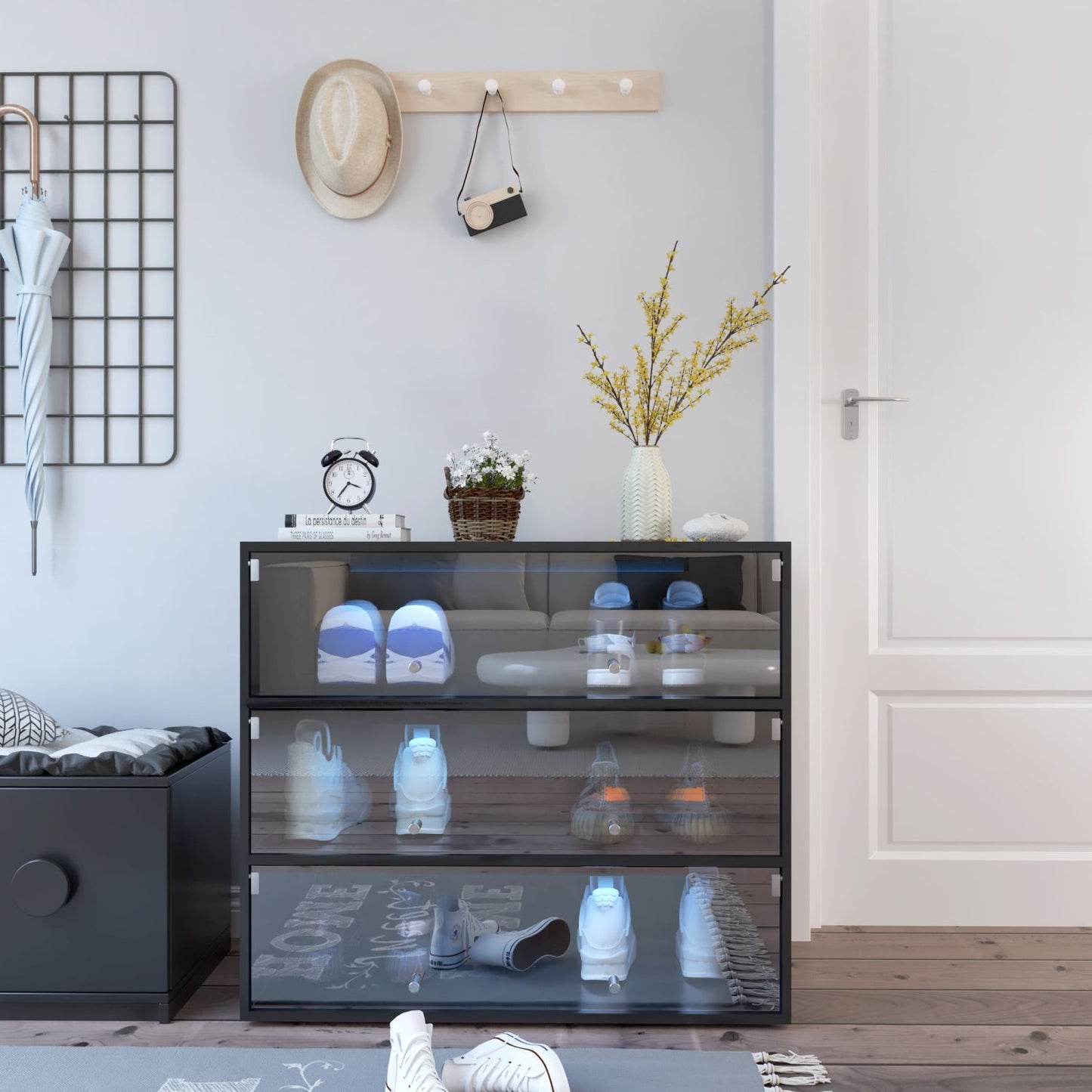 Black shoe rack with glass doors in a room setting.