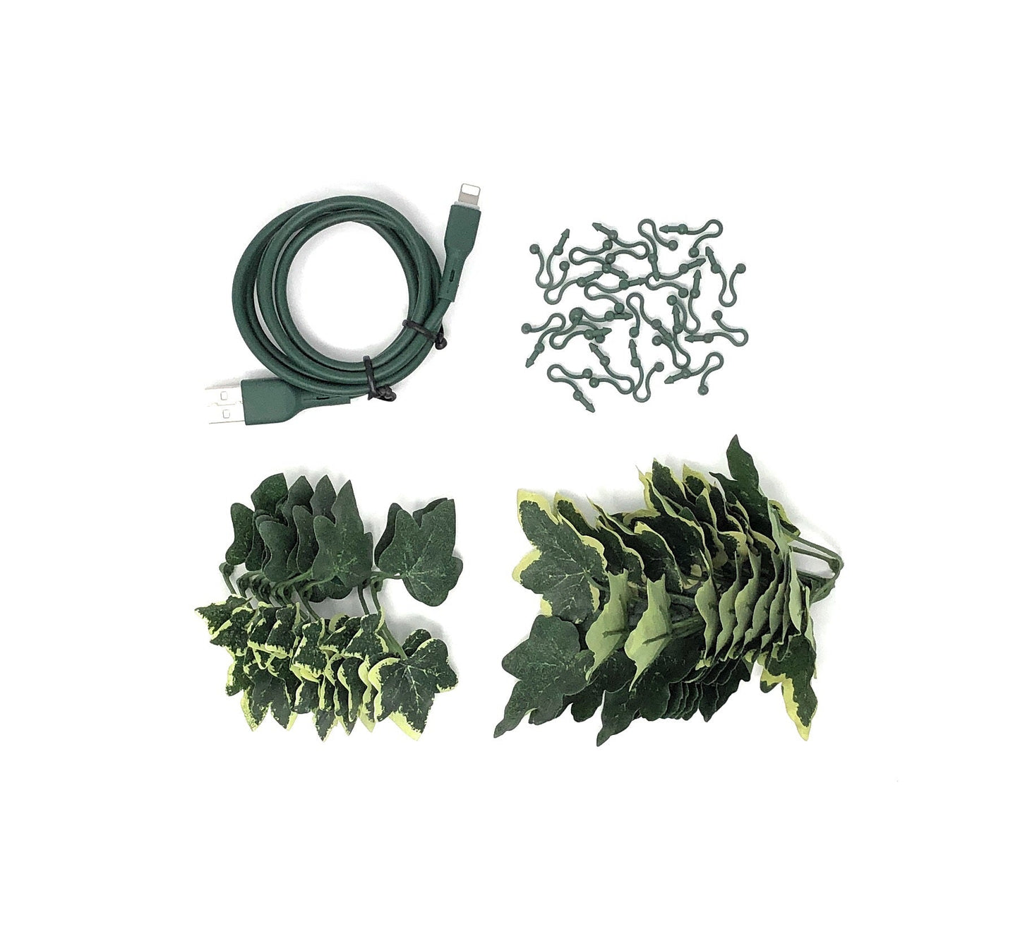 ElectroVine™ Variegated Ivy – A Charging Cable That Doubles as Living Décor