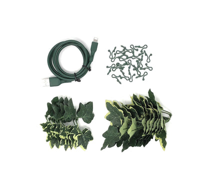 ElectroVine™ Variegated Ivy – A Charging Cable That Doubles as Living Décor