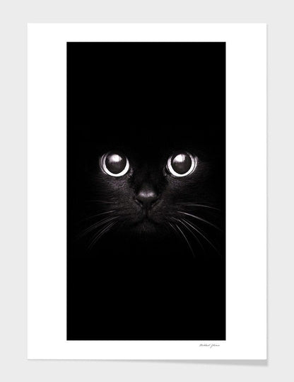 Vector Frame – Sleek Solid Wood Frame for Modern Wall Art